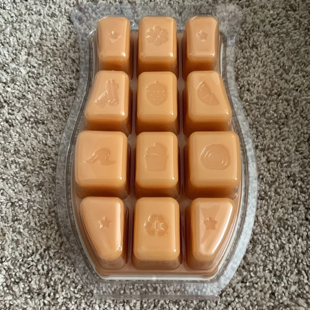 Scentsy Brick - Picture 2 of 2